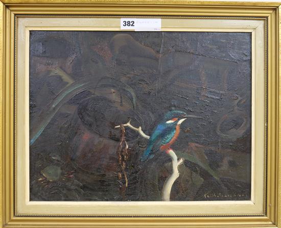 Keith Shackleton Study of a kingfisher 13 x 17in.